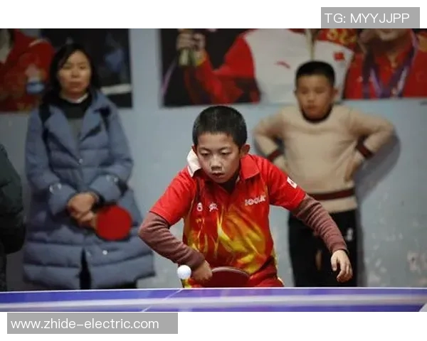 广州乒乓球队耐力表现的数据分析与训练策略探讨